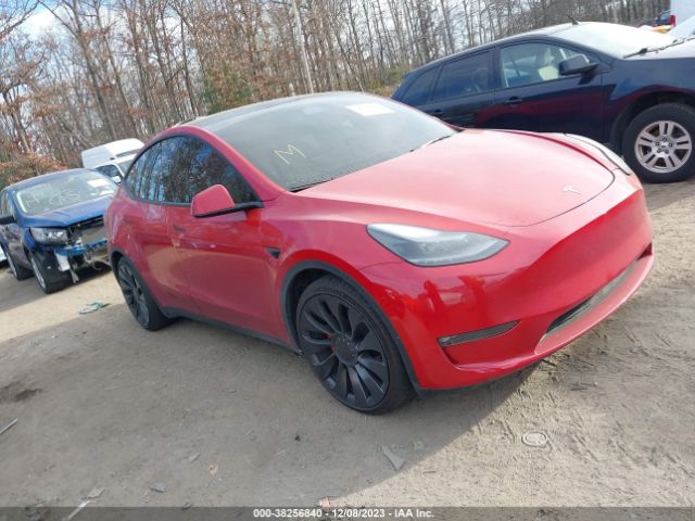 TESLA MODEL Y 2023 7saygdef8pf604543