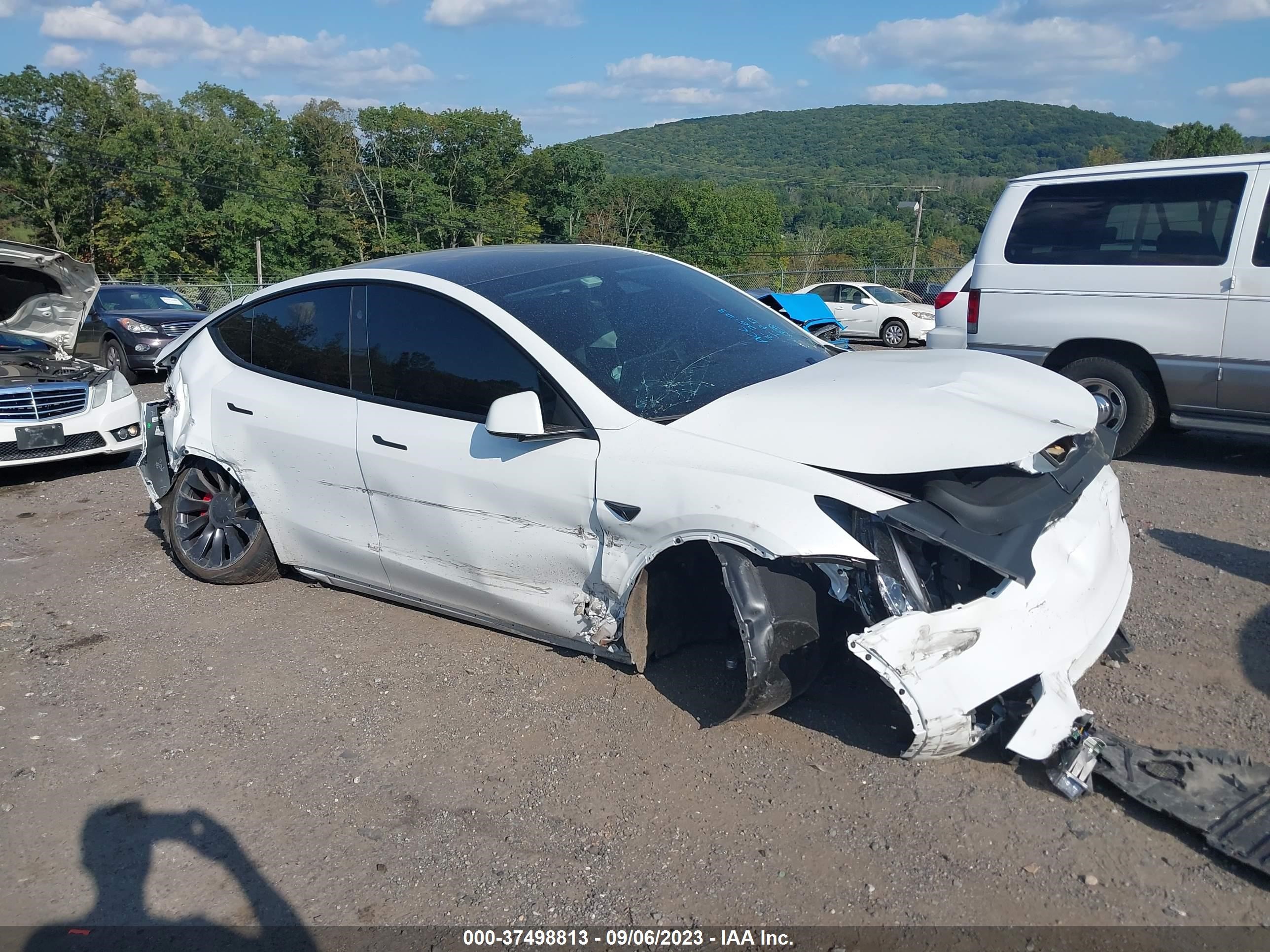 TESLA MODEL Y 2023 7saygdef8pf792805