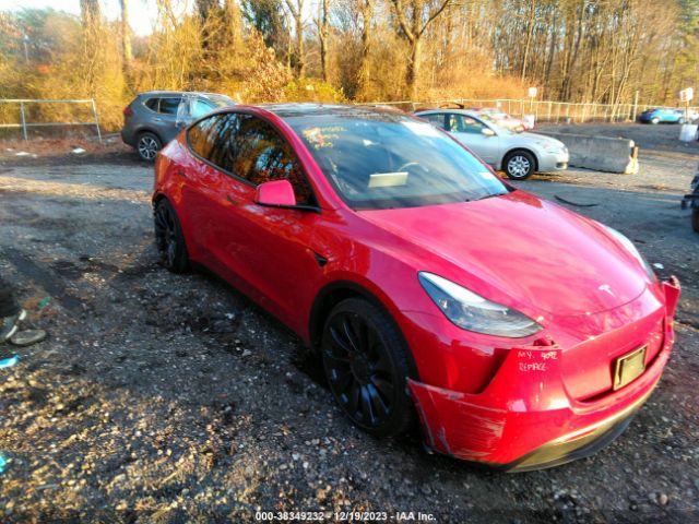 TESLA MODEL Y 2023 7saygdef8pf810509