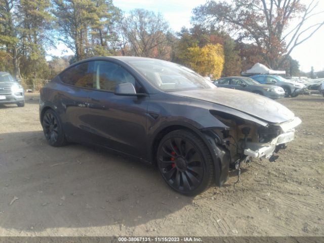 TESLA MODEL Y 2023 7saygdef8pf865347