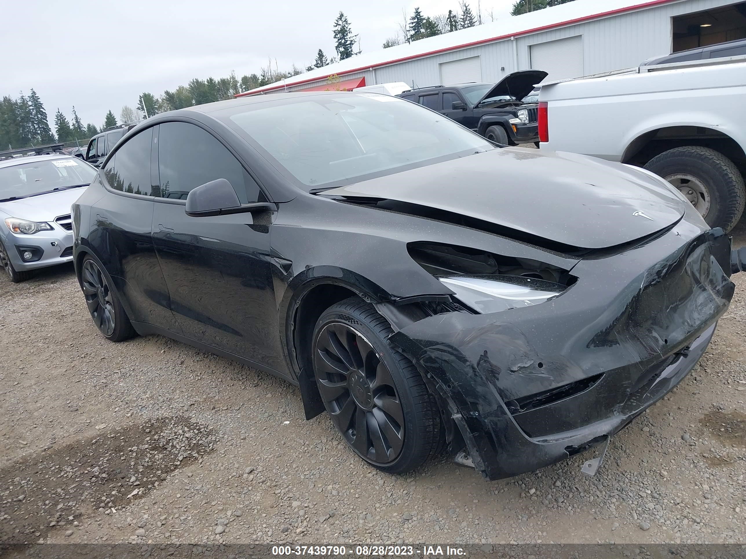 TESLA MODEL Y 2022 7saygdef9nf407720