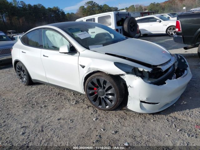 TESLA MODEL Y 2023 7saygdef9pf703016