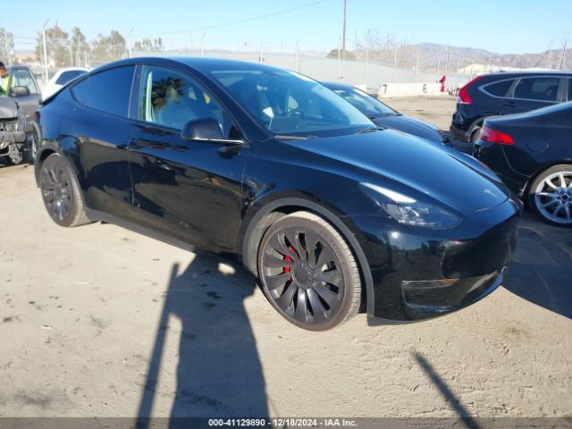 TESLA MODEL Y 2023 7saygdef9pf761255