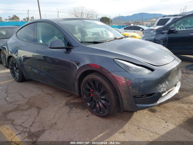 TESLA NULL 2023 7saygdef9pf797172