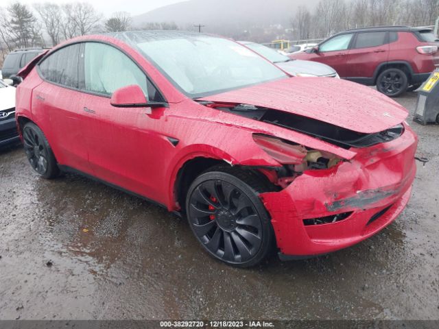 TESLA MODEL Y 2023 7saygdef9pf884666