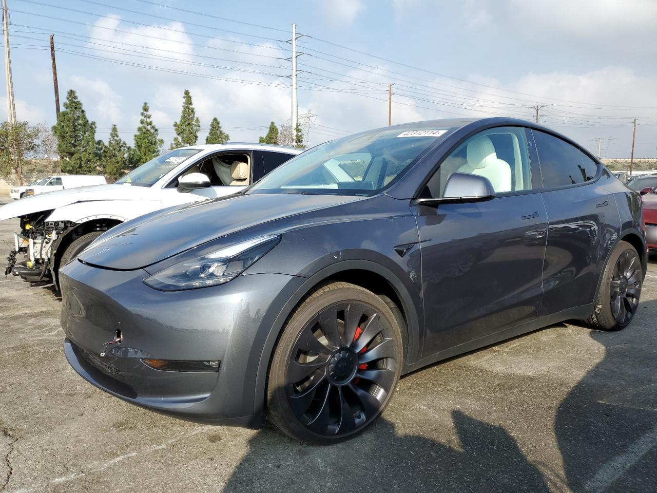 TESLA MODEL Y 2023 7saygdef9pf904754