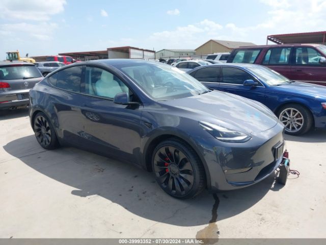 TESLA MODEL Y 2023 7saygdef9pf905712