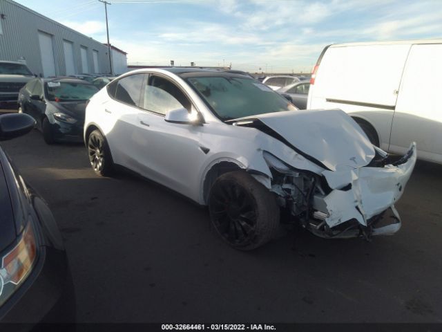 TESLA MODEL Y 2022 7saygdefxnf365624