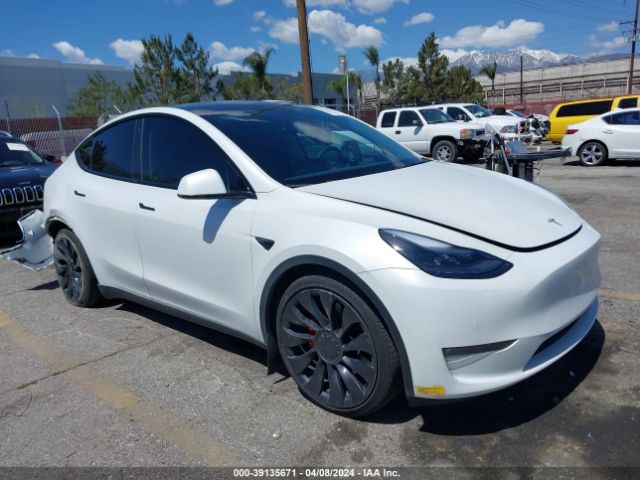 TESLA MODEL Y 2022 7saygdefxnf384013