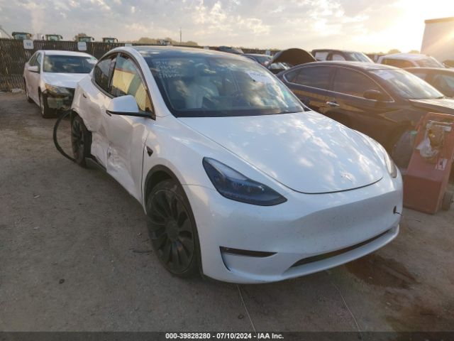 TESLA MODEL Y 2022 7saygdefxnf453119