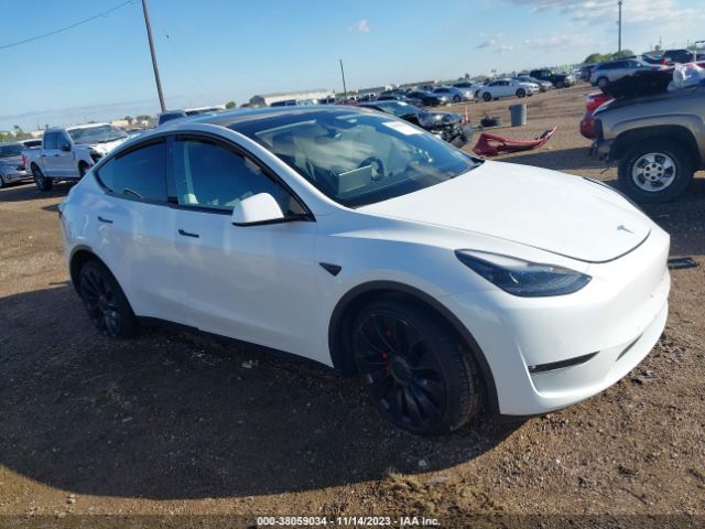 TESLA MODEL Y 2022 7saygdefxnf456733