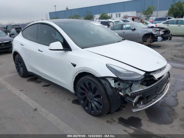 TESLA MODEL Y 2022 7saygdefxnf484838