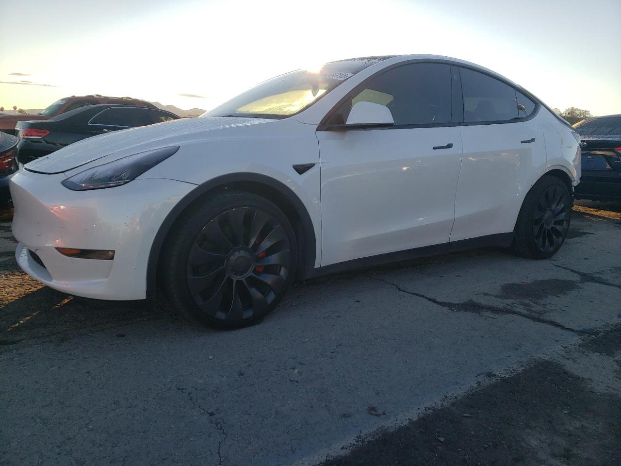 TESLA MODEL Y 2022 7saygdefxnf494253