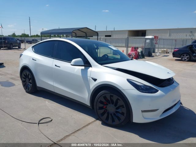 TESLA MODEL Y 2022 7saygdefxnf518101