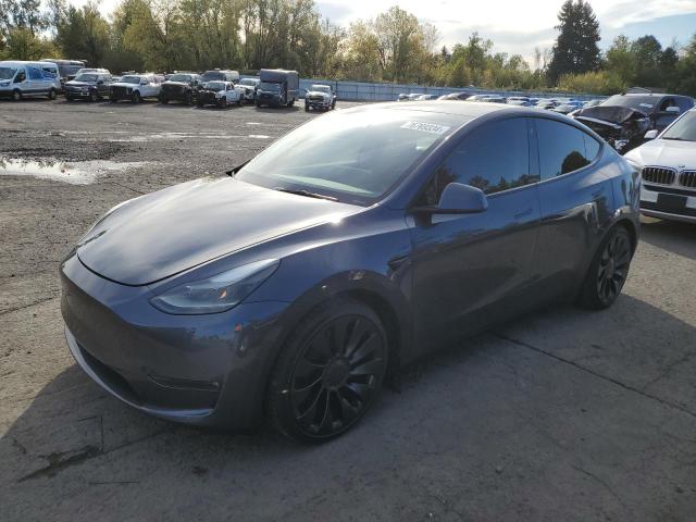 TESLA MODEL Y 2022 7saygdefxnf540048