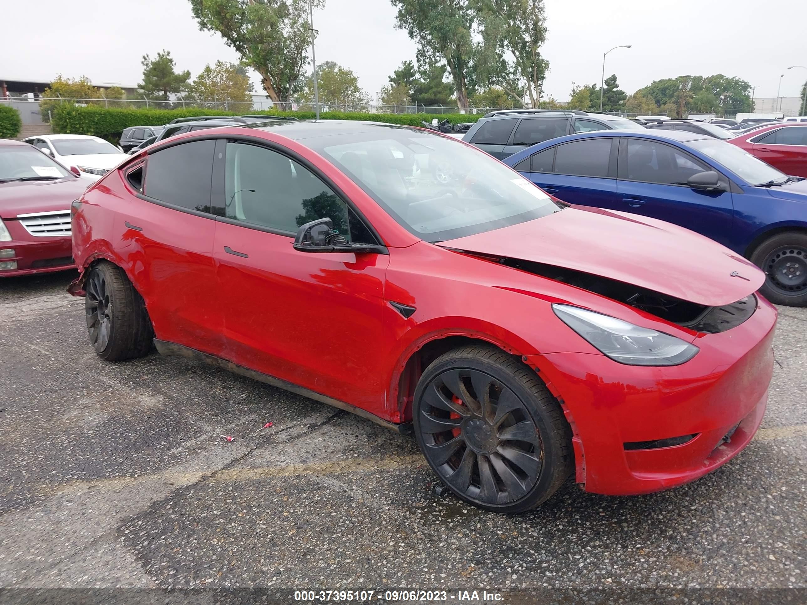 TESLA MODEL Y 2023 7saygdefxpf714817