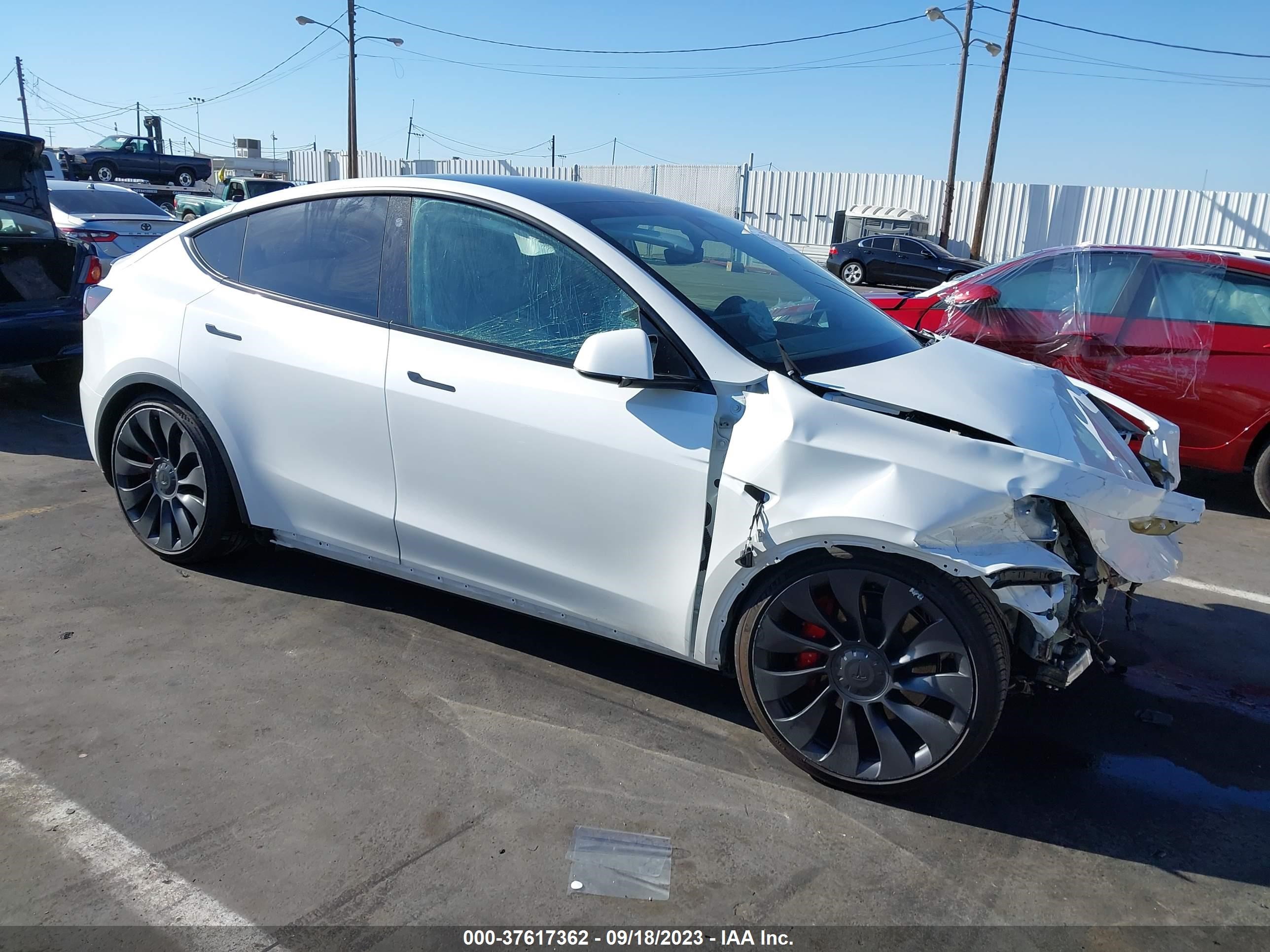 TESLA MODEL Y 2023 7saygdefxpf743668