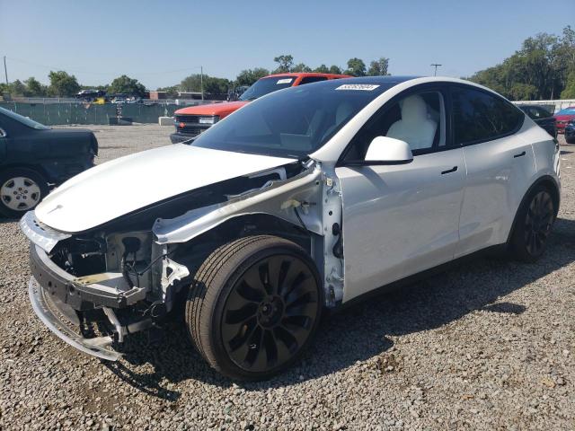 TESLA MODEL Y 2023 7saygdefxpf761507