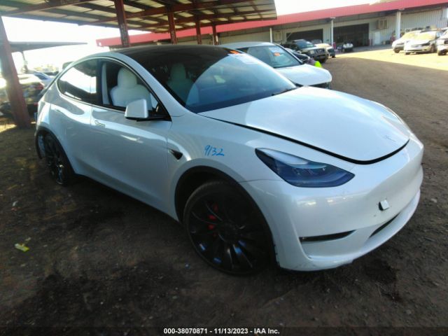 TESLA MODEL Y 2023 7saygdefxpf814108