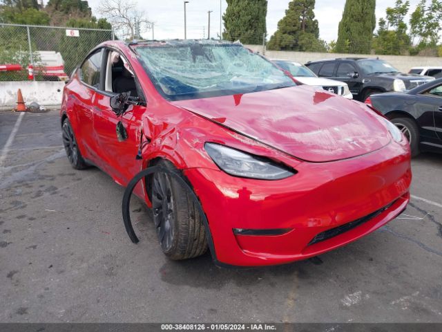 TESLA MODEL Y 2023 7saygdefxpf832964