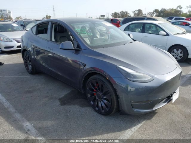 TESLA MODEL Y 2023 7saygdefxpf856925