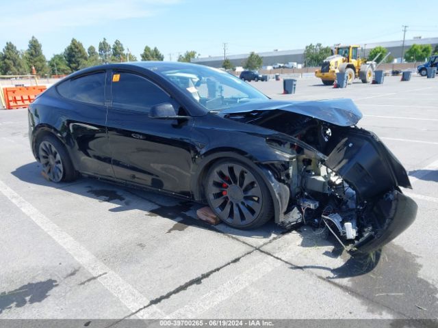 TESLA MODEL Y 2023 7saygdefxpf976773