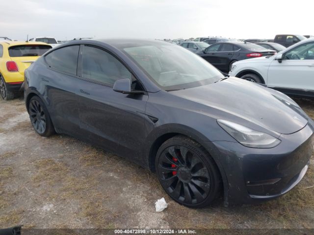 TESLA MODEL Y 2023 7saygdefxpf978345