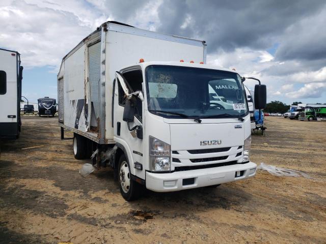 ISUZU NQR 2020 jale5w169l7302555