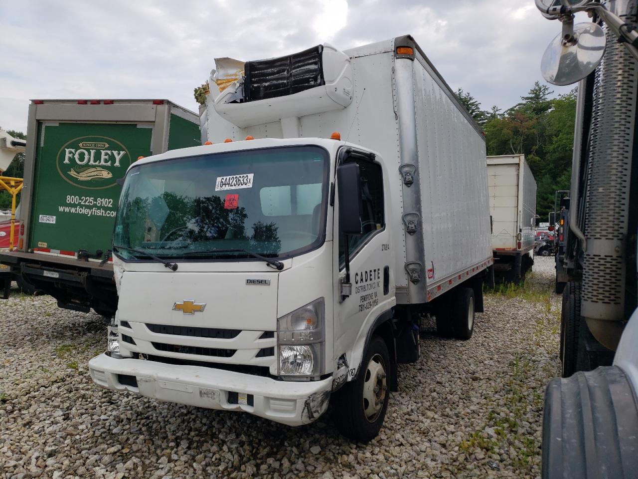 CHEVROLET C/K 2020 jaleew165l7900383