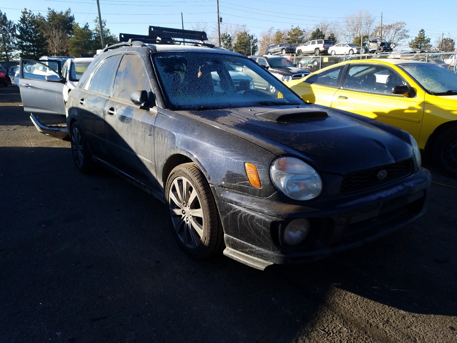 SUBARU IMPREZA WR 2003 jf1gg296x3g808080