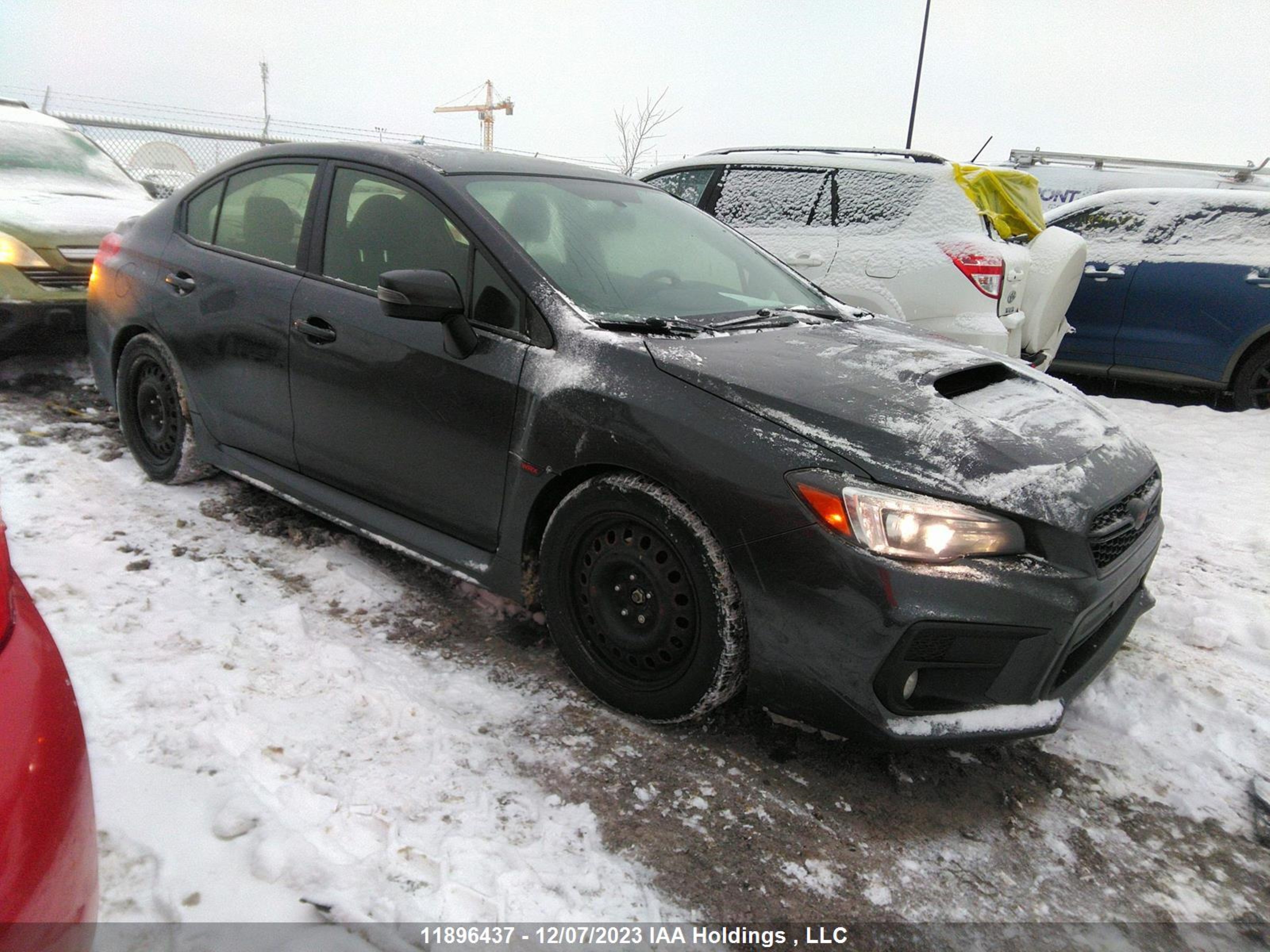 SUBARU WRX 2019 jf1va1d63k8801684