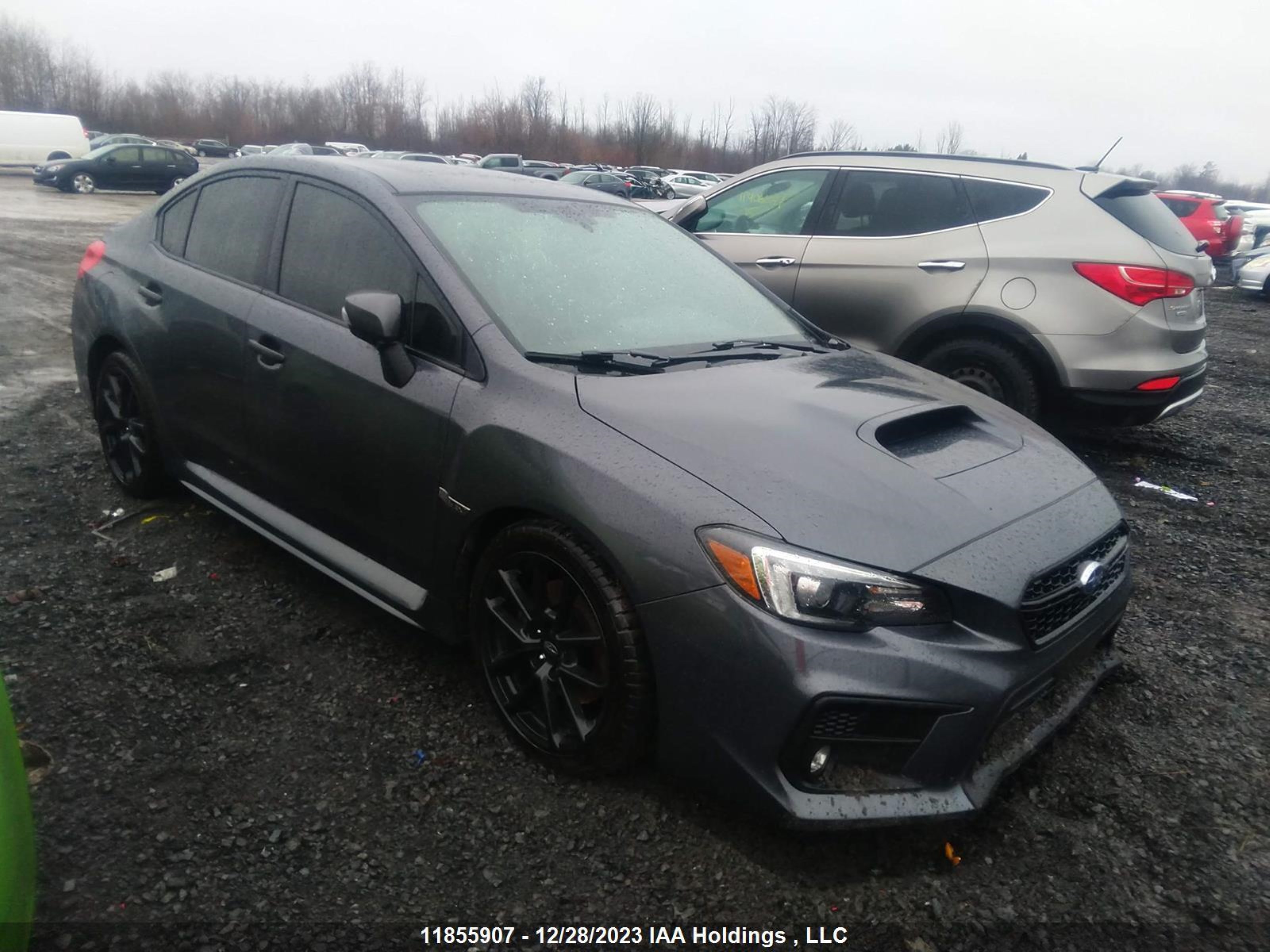 SUBARU WRX 2020 jf1va1p67l8824821