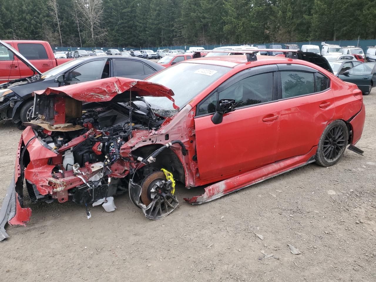 SUBARU WRX 2019 jf1va2r65k9816891