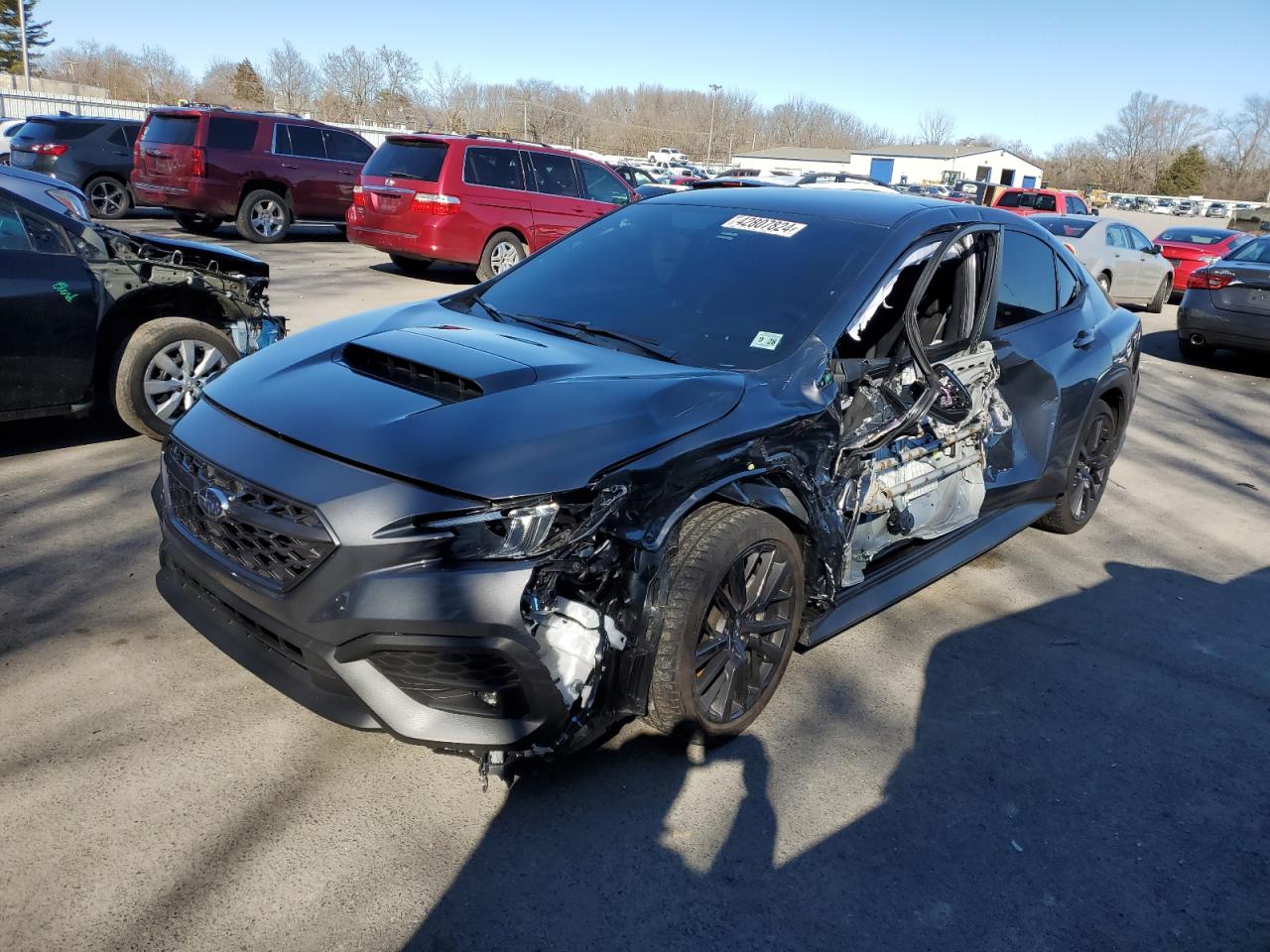 SUBARU WRX 2023 jf1vbaf61p9814753