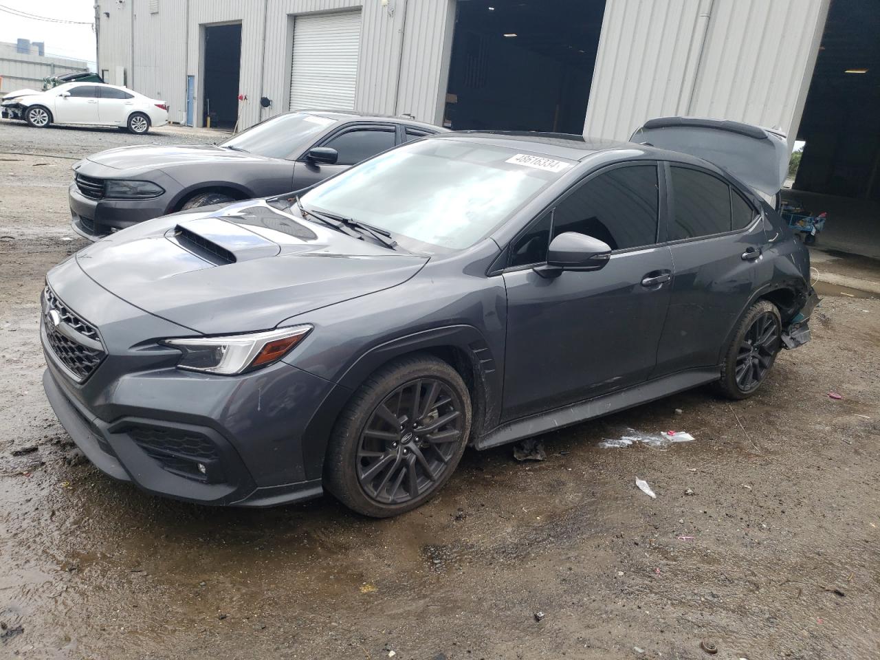 SUBARU WRX 2022 jf1vbal69n9022691