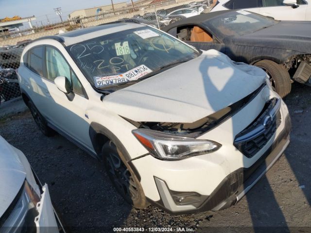 SUBARU CROSSTREK 2023 jf2gtdnc3ph236266