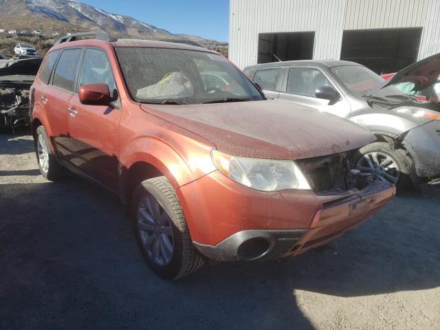 SUBARU FORESTER 2 2011 jf2shadc8bh711902