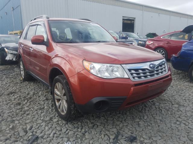 SUBARU FORESTER 2 2011 jf2shadc8bh766558