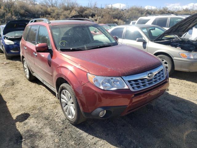 SUBARU FORESTER 2011 jf2shaec3bh722224