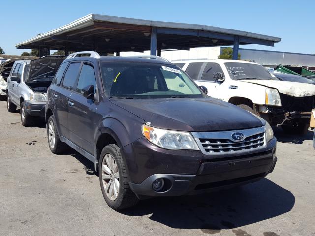 SUBARU FORESTER T 2013 jf2shagcxdh410191