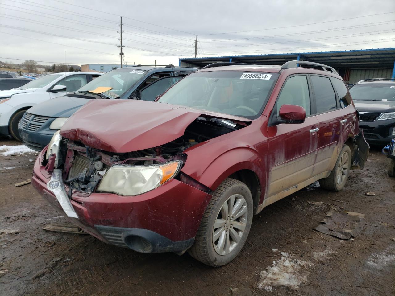 SUBARU FORESTER 2011 jf2shbdcxbh724737