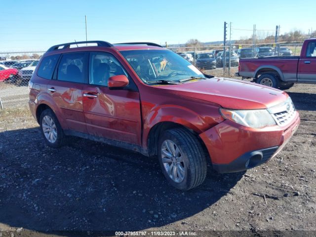 SUBARU FORESTER 2011 jf2shbec7bh740019