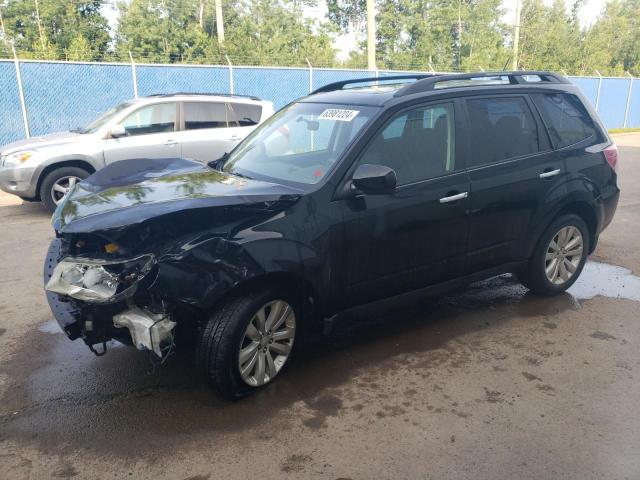 SUBARU FORESTER 2 2011 jf2shcdc1bh779499