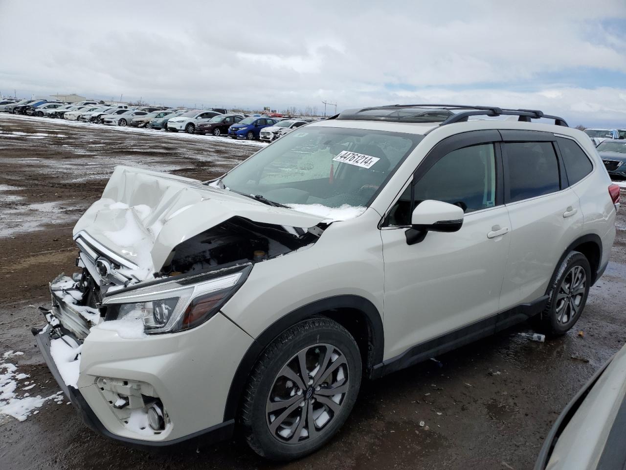 SUBARU FORESTER 2019 jf2skasc5kh445873