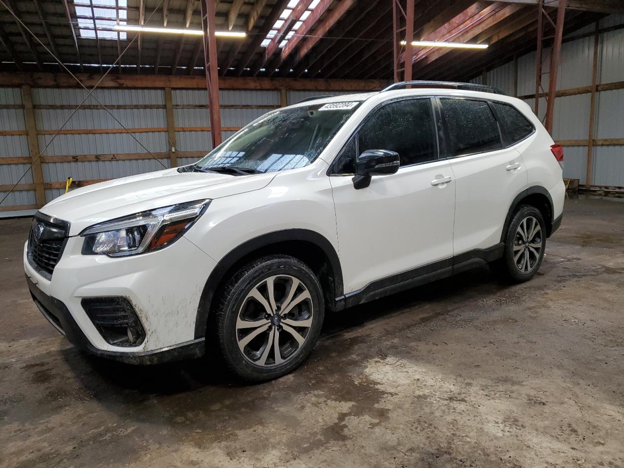 SUBARU FORESTER 2019 jf2skeuc0kh436289