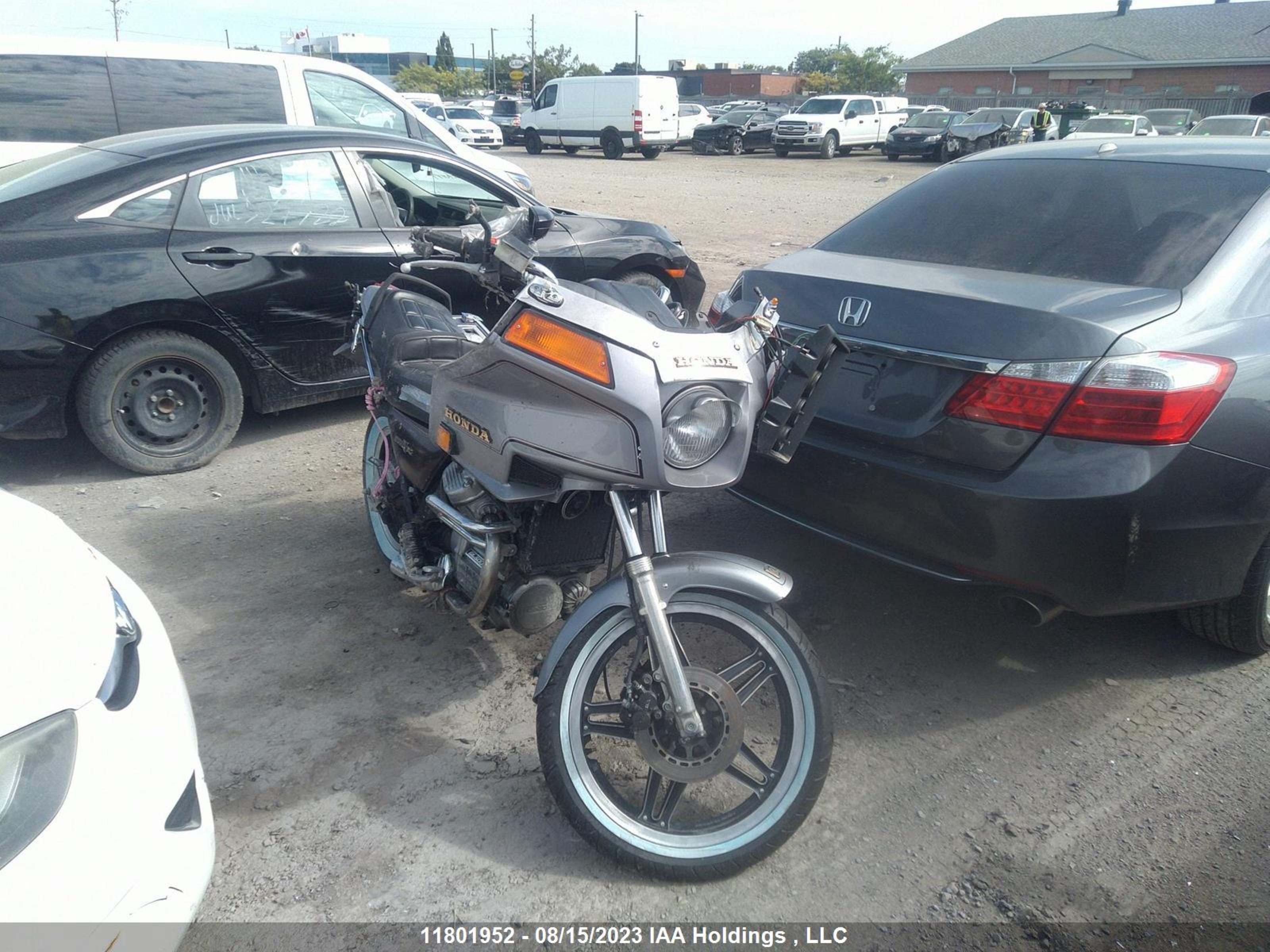 HONDA NULL 1981 jh2pc0206bm005306