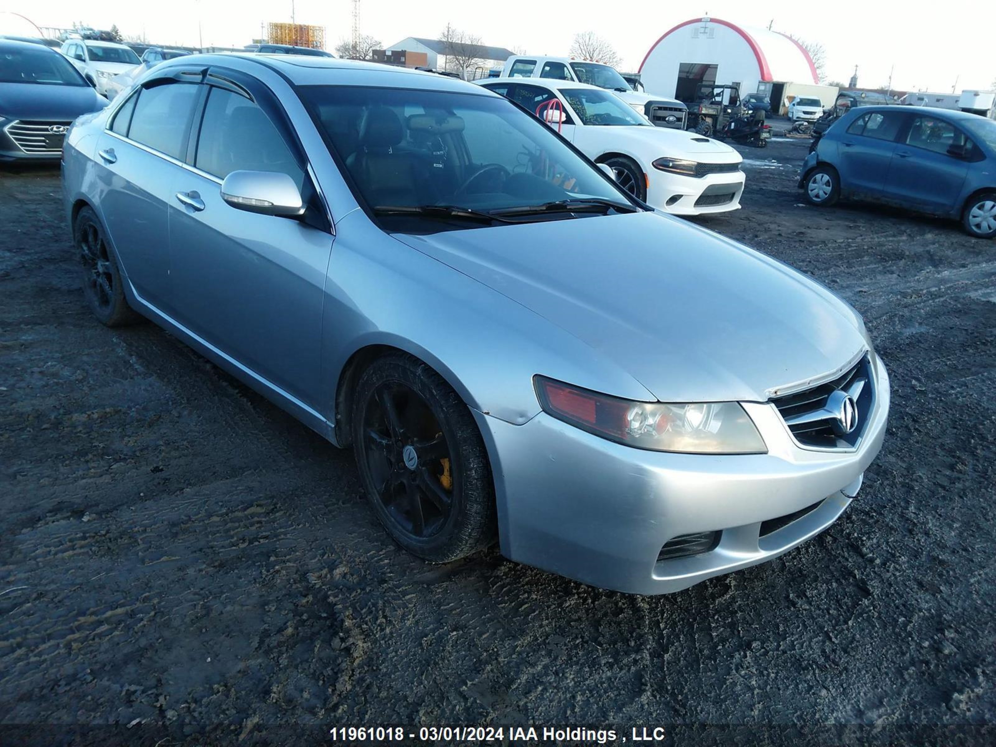 ACURA TSX 2004 jh4cl95814c804009