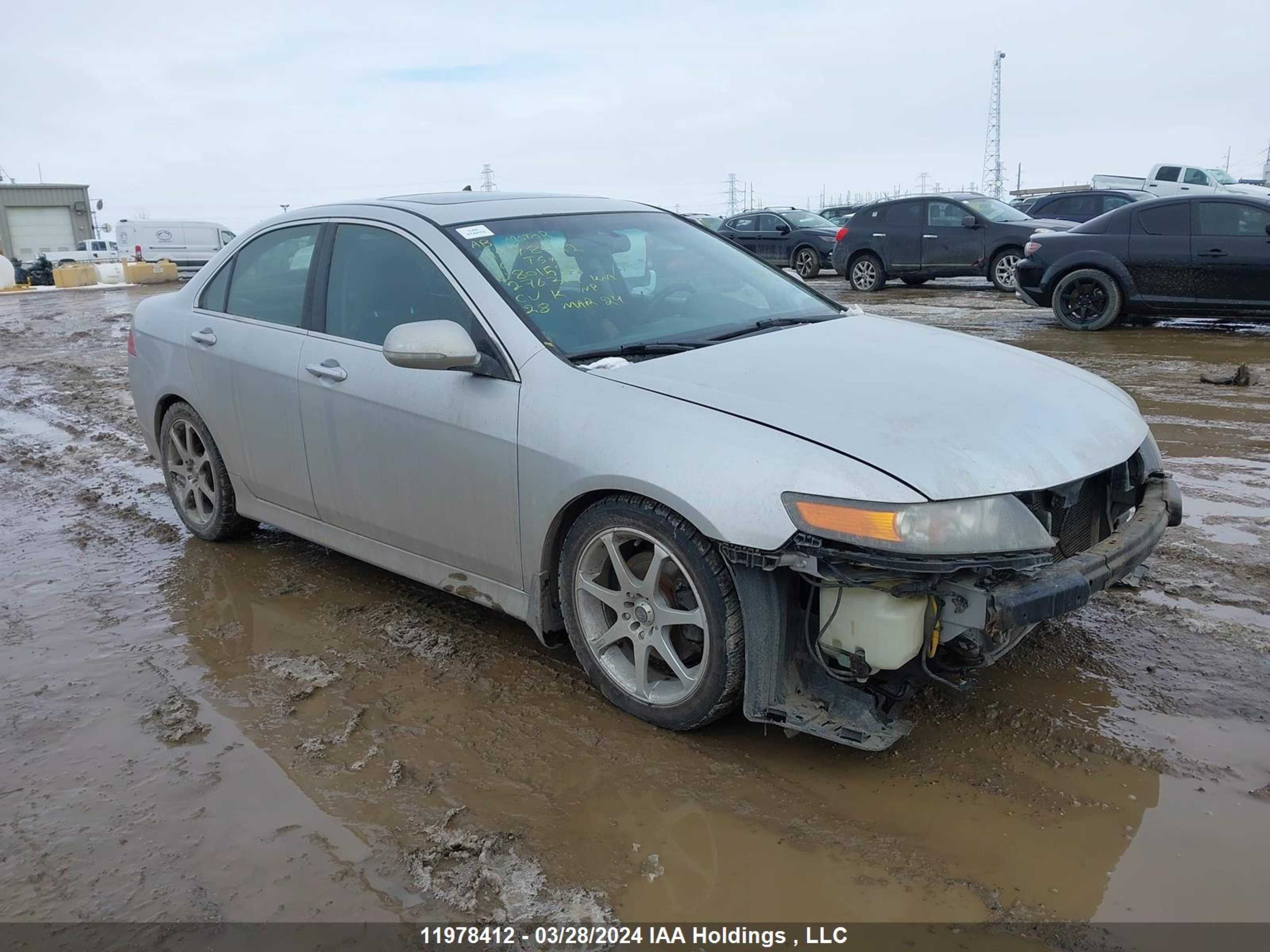 ACURA TSX 2006 jh4cl95866c801528