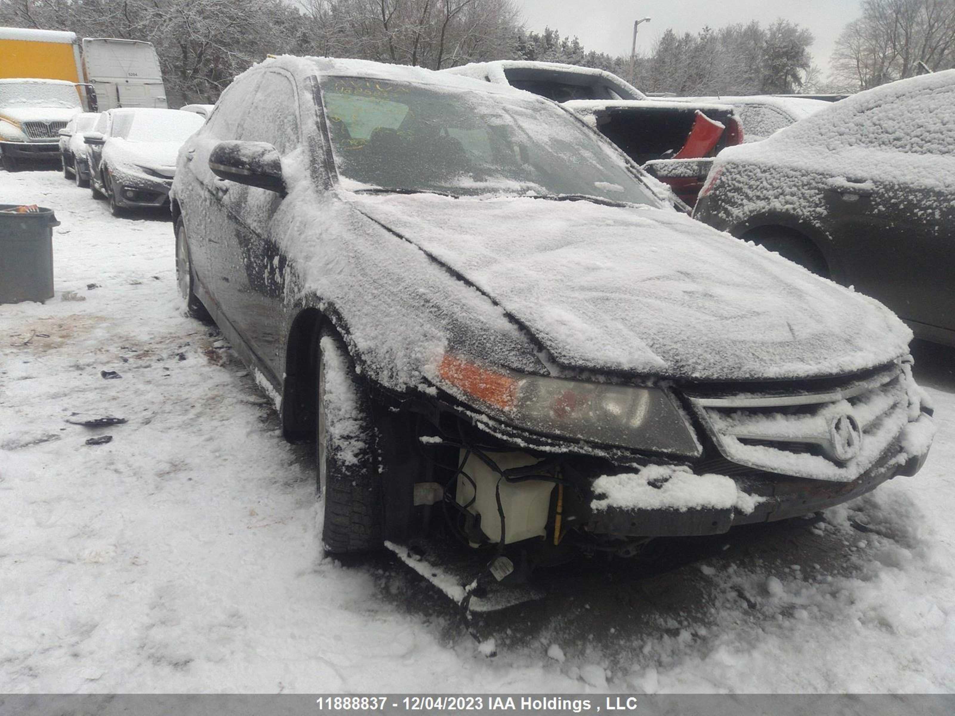 ACURA TSX 2008 jh4cl95868c801323