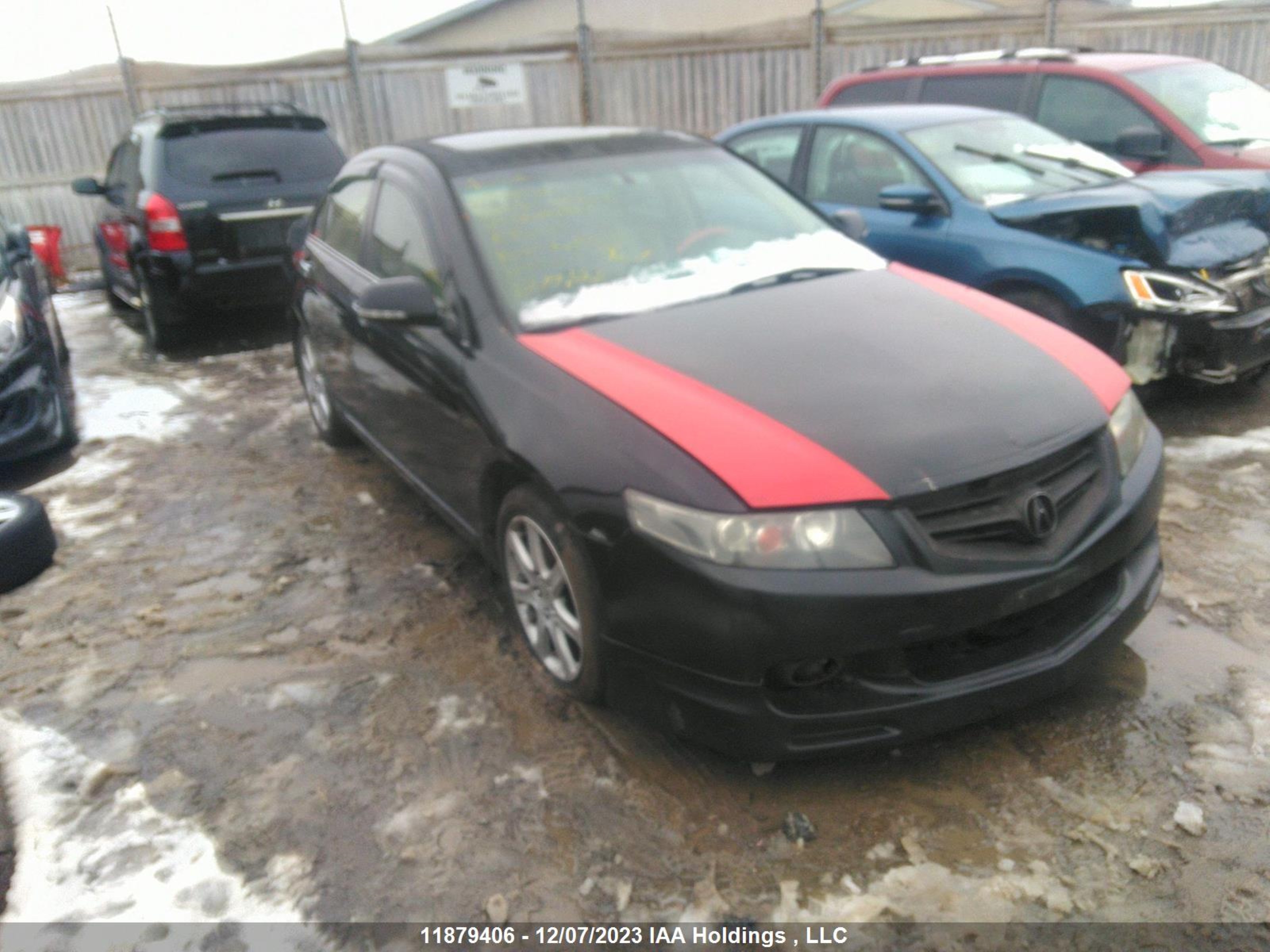 ACURA TSX 2004 jh4cl95884c804847